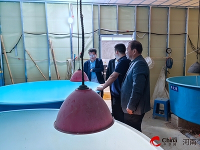 周口市鄲城縣農(nóng)業(yè)農(nóng)村局赴西平縣考察學習 共謀水產(chǎn)養(yǎng)殖綠色發(fā)展新篇章